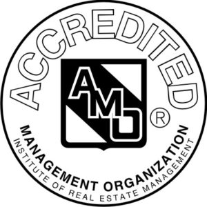 logo-amo